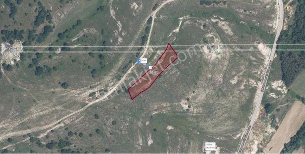 Remax Hür Ülkü Çakar'dan İzmit Bulduk Köyü'nde Satılık Yatırımlık Tarla