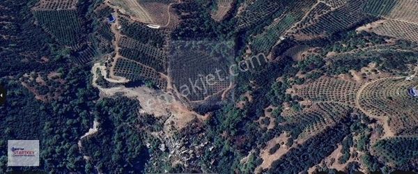 Salihli Allahdiyen'de Mükemmel Konumda Tarla