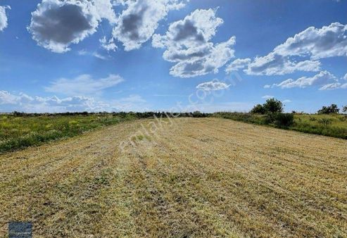 Tek Tapu 1.000 M2 Yola Yakın Arazi