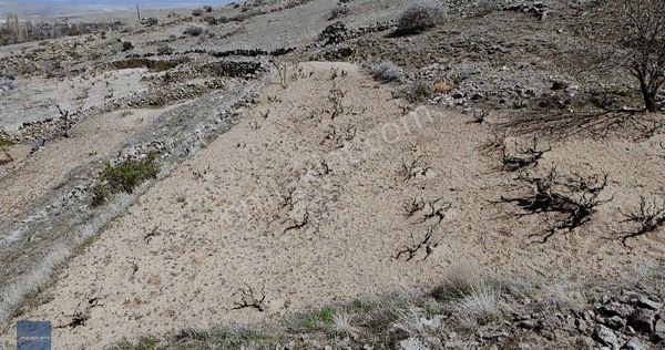 411 M2 Tek Tapu Şok Fiyat Bölgenin En Uygunu Fırsat Bağ