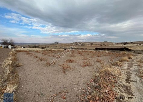 720 M2 Tek Tapu Ulaşımı Kolay Bakımlı Bağ