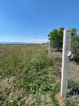 Menderes Tekelide Satılık Tarla