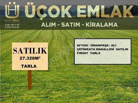 Afyon Üçok Emlaktan Sinanpaşa / Ali Çetinkaya Mah Yol Üzeri Satılık 27.328m² Tarla