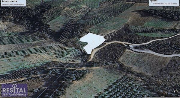 Osmangazi Ahmetbey Köyde Doğa Manzaralı Tarla