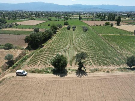 Antika Gayrimenkul'den Ödemiş Ocaklı Mahallesinde Satılık Arsa