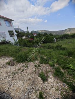 Fındıkpınarı Yaylası Cazip Tek Tapu