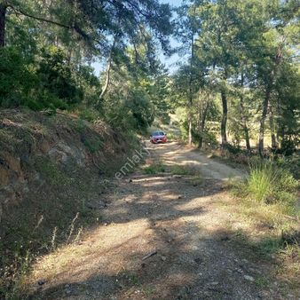 Muğla Dalaman Şerefler Satılık Arsa