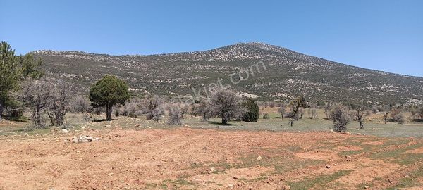 Ormana Sınır Hobi Bahçesi