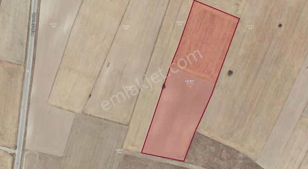 Denizli | Çardak | Havaalanı Yakını Tarla