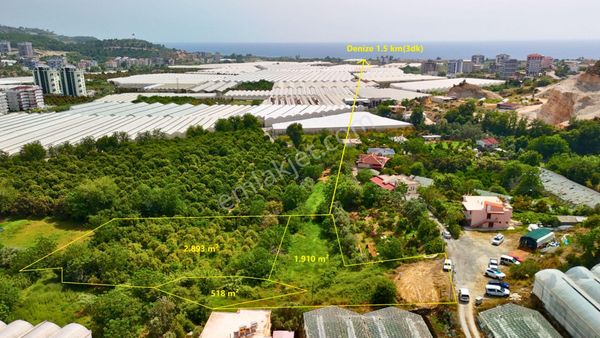Satılık 5.321 M² Portakal Bahçesi Arazisi, Alanya-demirtaş