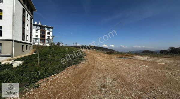 Ptofasor * Dan İnegöl Karalar Da Satılık 5binlik Planda Tarla