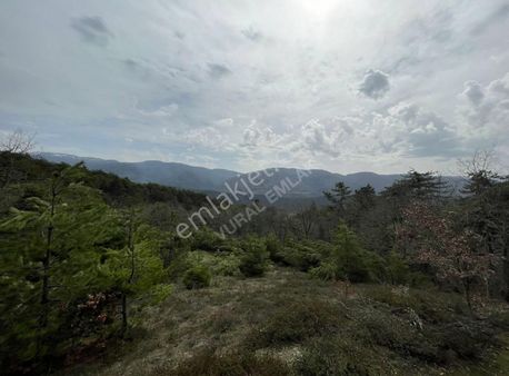 1.657 M2 Kelepir Tarla