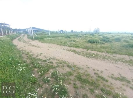 Rotaa Gayrimenkulden Aslanlar Mah. Tek Tapu Satılık Tarla