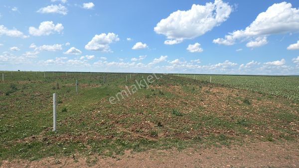 Kırklareli Vize Doğanca Satılık Hisseli Parseller