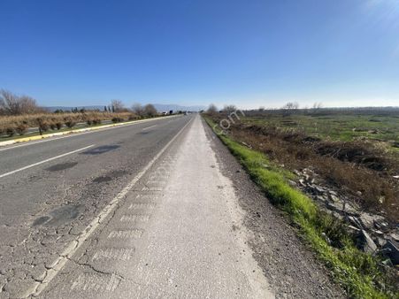 Balıkesir Ayvalık Altınova Da Satılık 20 Dönüm Tarla