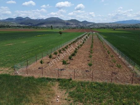Beyşehir Bekdemir Mahallesinde Satılık Meyve Bahçesi Suyu Mevcut