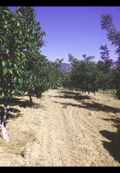 Fark20'den Cankurtaran/karataş'ta Satılık 5.800 M2 Arazi
