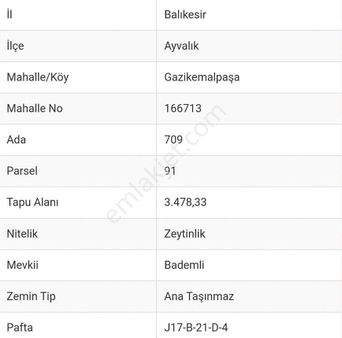 Can Emlak’tan | Ayvalık Gazikemalpaşa Mahallesi’nde 10.300 M² Satılık Zeytinlik!