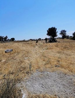İzmir Bergama Durmuşlarda 6 Dönüm Tarım Arazisi
