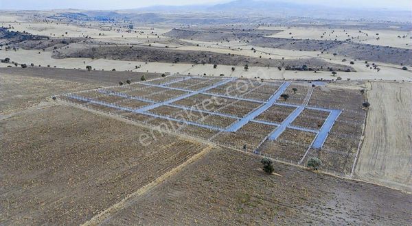 Talas Kamberde Satılık Hobi Bahçeleri. Son Kooperatif Hisseleri!