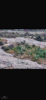 Mersin / Akdeniz / Tekke Köyünde İmarlı Fırsat 766 M² Arsa...