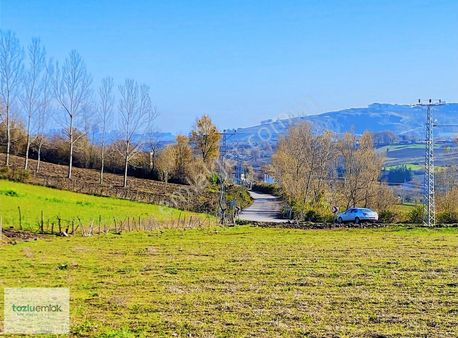 Atakum Meyvalıda Yola Cephe Merkeze Yakın Tarla