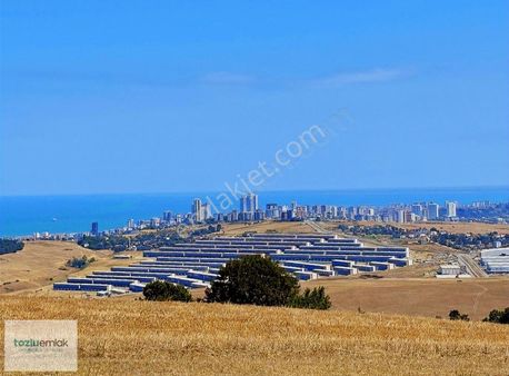 Tozluemlak'tan Kamalı Yeni Sanayi Karşısında Satılık Acil ! Tek!