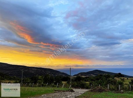 Sinop'ta Full Deniz Manzaralı 11dönüm Satılık Çiftlik Ve Yazlık!