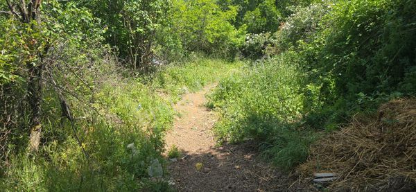 Çanakkale Çan Kadılar Köyünde %80 Köy İmarlı Fırsat Satılık Arsa