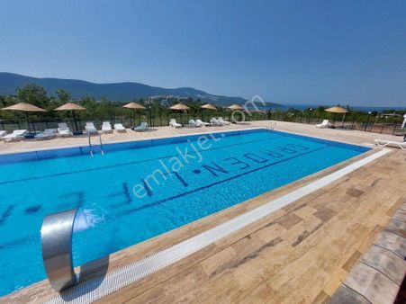 Didim Akbükte Çam Ve Zeytin Ağaçları İçerisinde Satılık Yazlıklar Ve Villalar