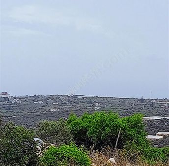 Erdemli Kumkuyu Tırtarda Satılık Deniz Manzaralı Tarla