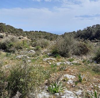 Erdemli Tırtarda Satılık Deniz Manzaralı Tarla