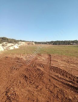 Göksel Gayrimenkul Guvencesiyle