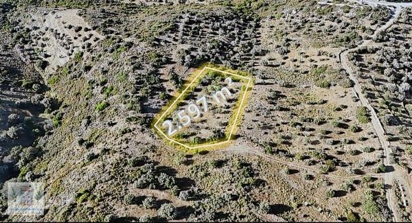 Marin'den Yazı'da 2.597 M² Satılık Tarla