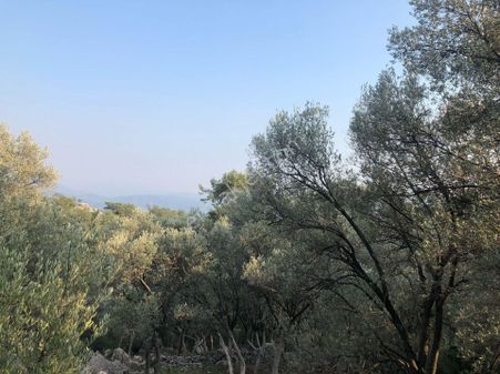 Gökçeovacıkta Etrafında Villalar Bulunan Yol Su Elektrik Sorunu Olmayan Satılık Tarla