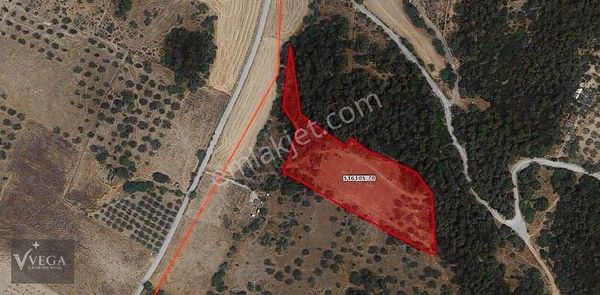 Yeniköy Foça'da Yatırımlık Arsa Fırsatı