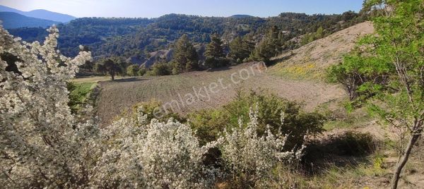 Acıpayam Aliverende 1800 M2 Harika Manzaralı Yola Sıfır Tarla