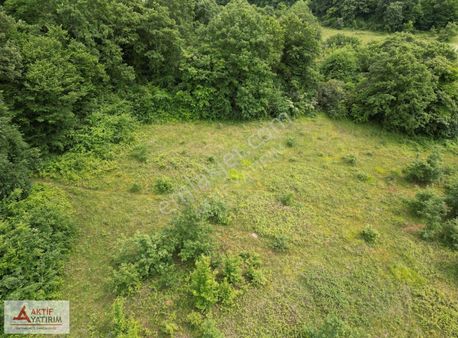 Denize 10 Dakika Kurtyeri'nde 5355 M2 Ormana Cepheli Kelepir