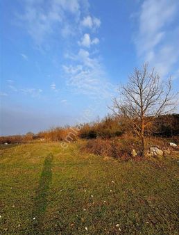 Güngörende Asfalt Yola Cephe Full Manzaralı Arazi