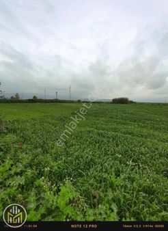 Konaklı Ovasında Yol Kenarı Hobi Bahçesi