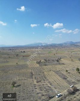 Acıpayam Avşar Da İki Adet Üzüm Bağı Tarla Tek Fiyat !!!