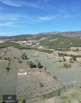 Acıpayam'da Böyle Bir Fiyata Ceviz Bahçesi Yok ! Hemde Avşar Köyünde