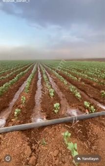 Yaşarsoy Gayrimenkul'den Satılık Atlıkonak Köyün Poralı Mezrası