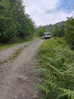 Özgür Emlak'tan 10 Dönümden Büyük Arazi Fındıklık