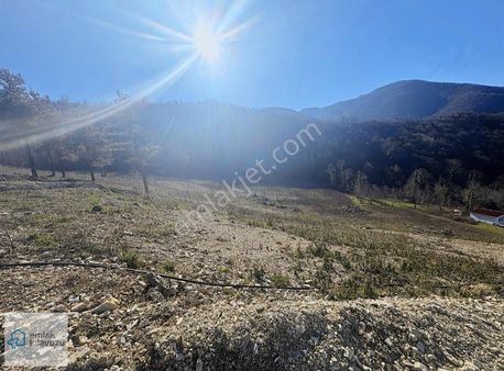 Ulaşlı Deniz Manzaralı Satılık %15 Konut İmarlı Arsa