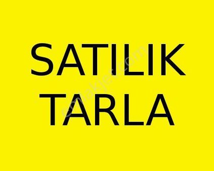 Yeniakçayırda Satılık Tarla ❗