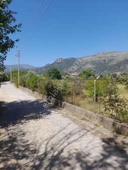 Köyceğiz Yangıda Satılık 9221 M2 Tarla