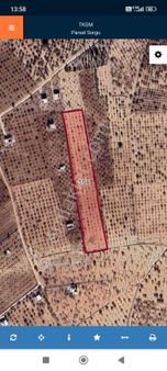 Karaköprü Kirpinarda Satilik Fistik Bahçesi