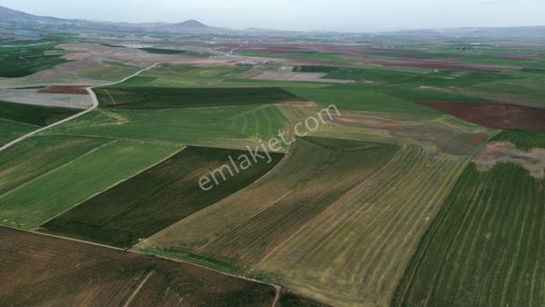 Sincan Anayurt Kadastro Yolu Olan Yatırımlık Satılık Tarla