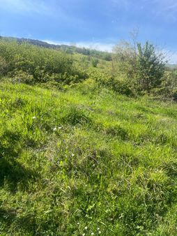 Gümüşova Organize Sanayi Dibinde Yatırımlık Fırsat Arsa